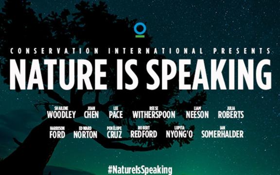 NIS-AllTitles_Newsroom